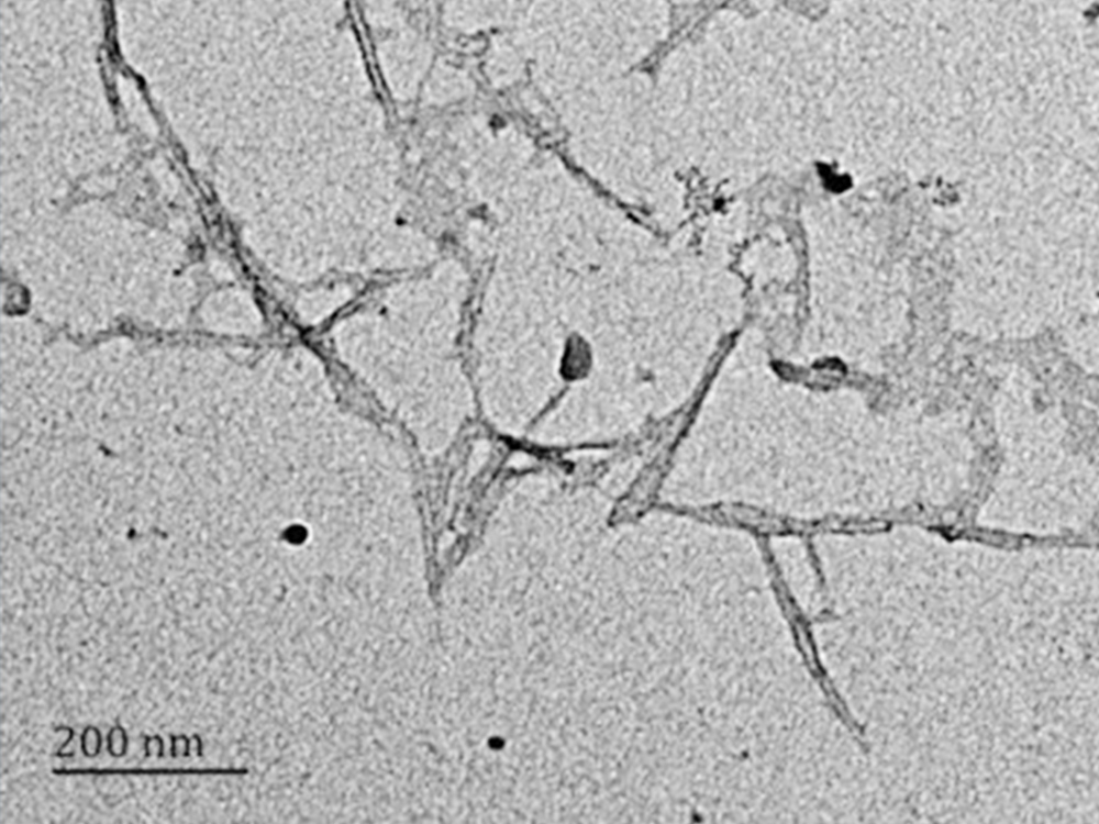 Carboxylated modified cellulose nanocrystals