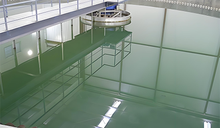 Nanocellulose: Green Revolution in the Field of Environmental Protection