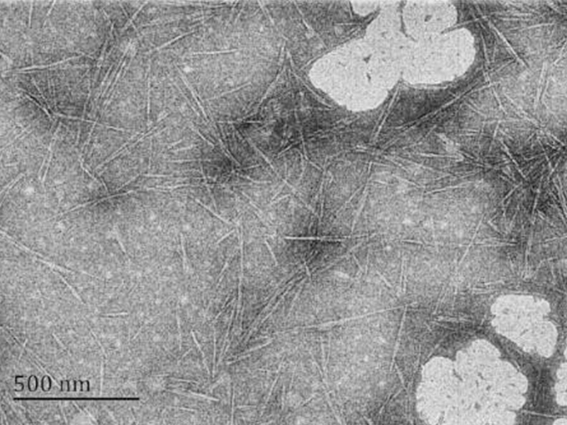 Sulfonated modified cellulose nanocrystals