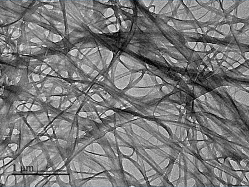 bacterial cellulose dispersion