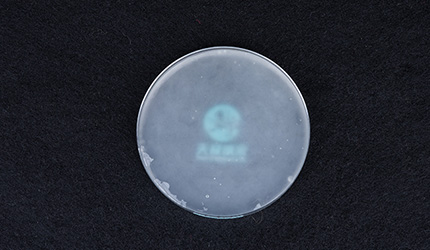 Adding nanocellulose to water-based coatings: Make environmentally friendly coatings last longer and more outstanding