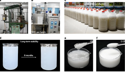 Nanocellulose preparation process: from natural cellulose to high-performance nanomaterials